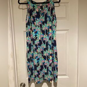 Lulu B dress large